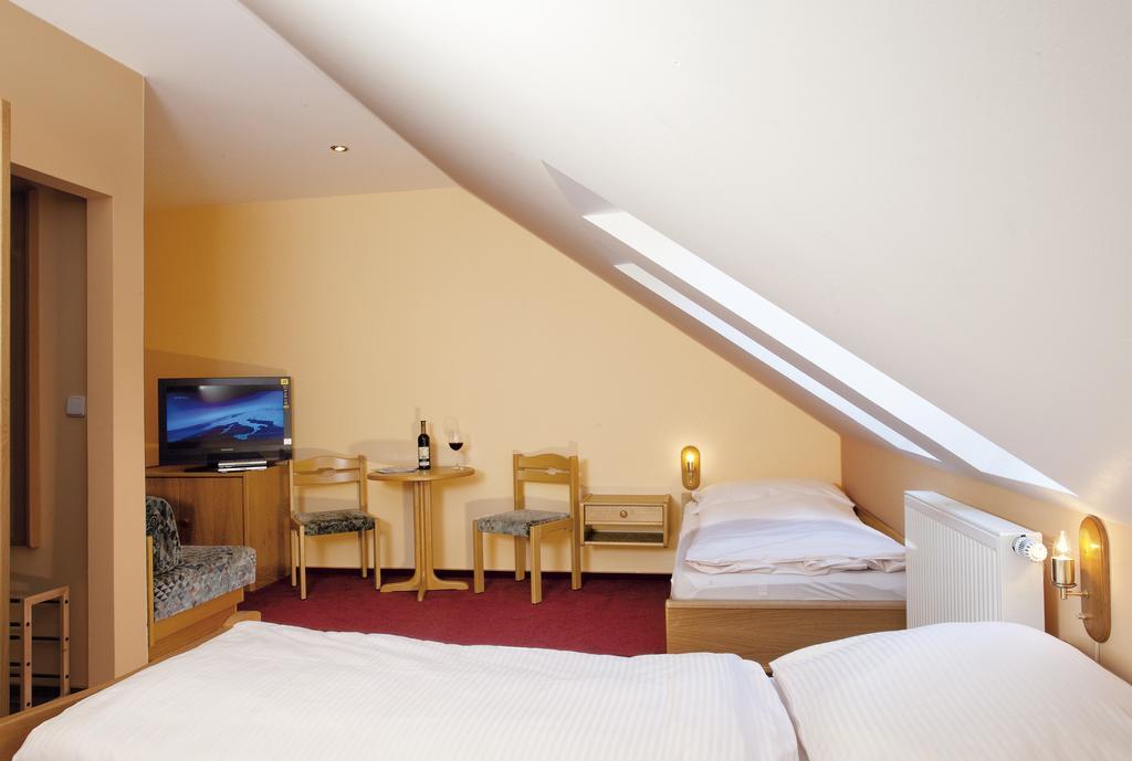 Wellness Hotel Marlin Nová Pec Pokój zdjęcie